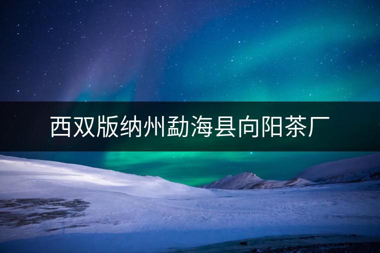 西雙版納州勐?？h向陽茶廠