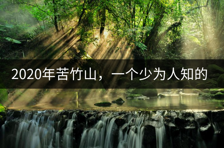 2020年苦竹山，一個少為人知的后起之秀！-易武中聘號