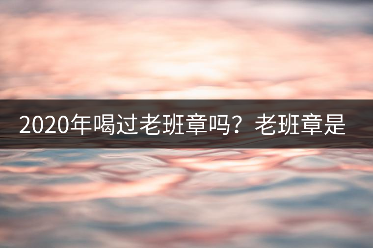 2020年喝過老班章嗎？老班章是什么味道？-易武中聘號