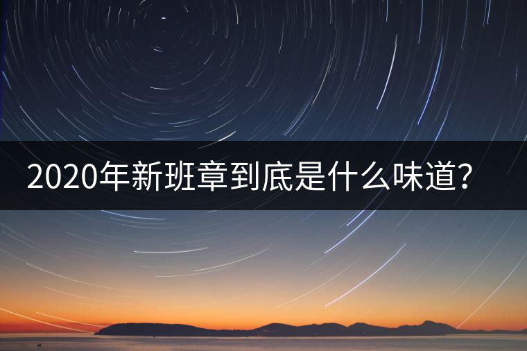 2020年新班章到底是什么味道？-易武中聘號(hào)