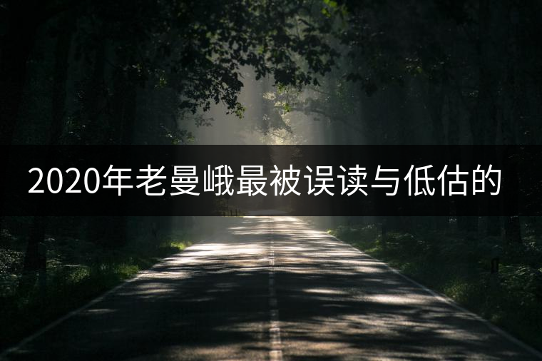 2020年老曼峨最被誤讀與低估的名山茶-易武中聘號(hào) 2020年老曼峨最被誤讀與低估的名山茶-易武中聘號(hào)