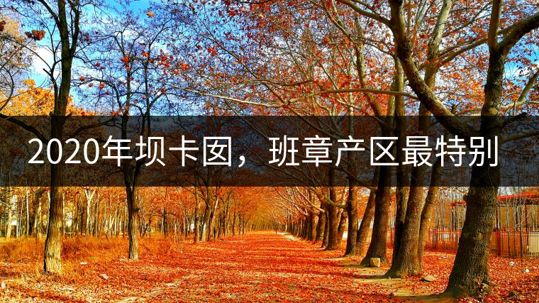 2020年壩卡囡，班章產(chǎn)區(qū)最特別的茶 -易武中聘號