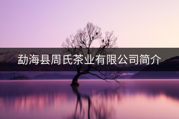 勐?？h周氏茶業(yè)有限公司簡(jiǎn)介