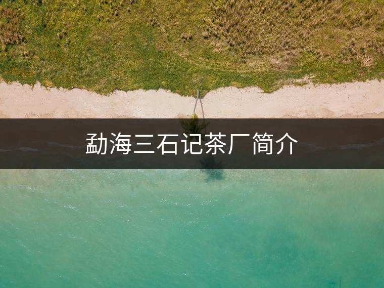 勐海三石記茶廠簡介 勐海三石記茶廠簡介