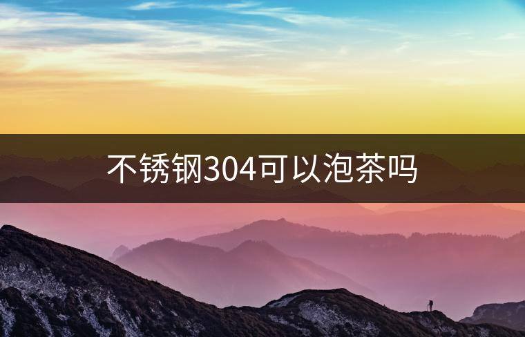 不銹鋼304可以泡茶嗎 不銹鋼304可以泡茶嗎