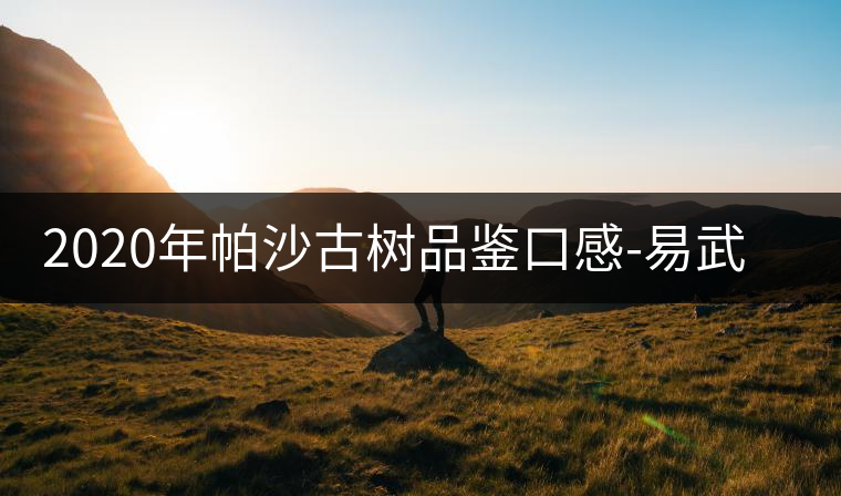 2020年帕沙古樹品鑒口感-易武中聘號(hào) 2020年帕沙古樹品鑒口感-易武中聘號(hào)