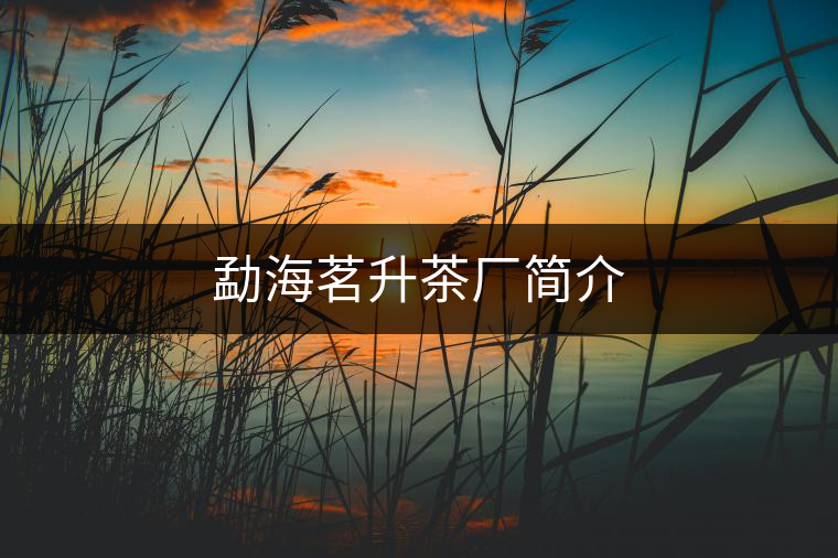 勐海茗升茶廠簡(jiǎn)介 勐海茗升茶廠簡(jiǎn)介