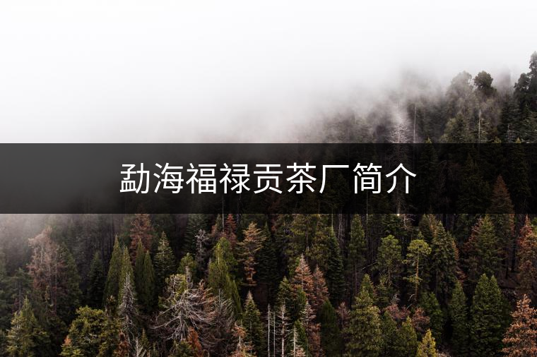 勐海福祿貢茶廠簡(jiǎn)介