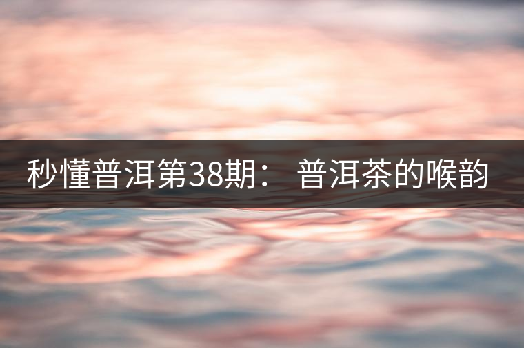 秒懂普洱第38期: 普洱茶的喉韻是什么? 秒懂普洱第38期: 普洱茶的喉韻是什么?