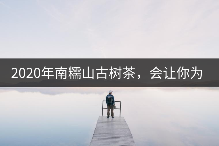 2020年南糯山古樹茶，會讓你為之著迷-易武中聘號