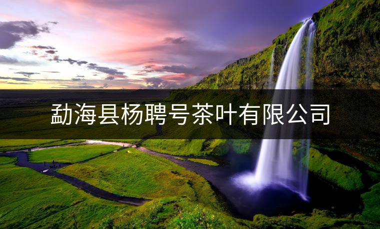 勐海縣楊聘號茶葉有限公司 勐??h楊聘號茶葉有限公司