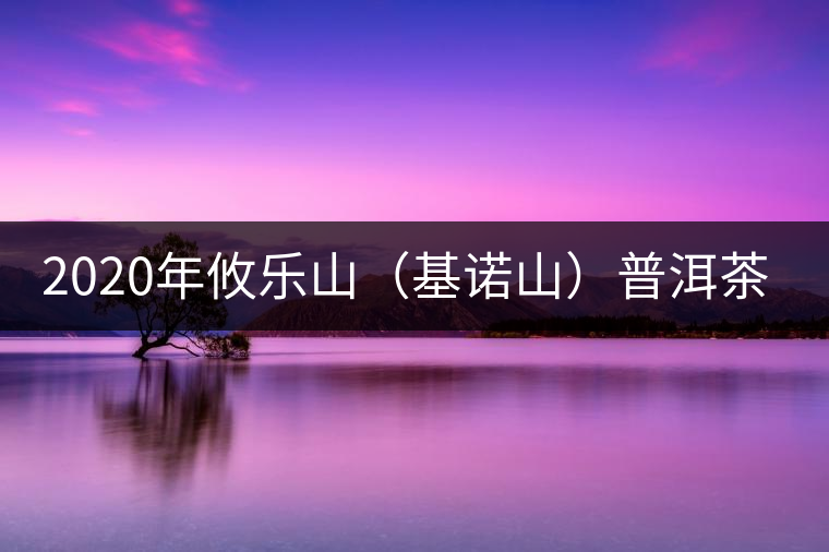 2020年攸樂山(基諾山)普洱茶的特點(diǎn) -易武中聘號 2020年攸樂山(基諾山)普洱茶的特點(diǎn) -易武中聘號