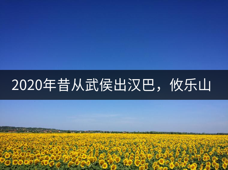 2020年昔從武侯出漢巴，攸樂山中只種茶。-易武中聘號