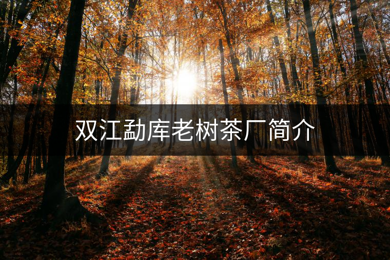 雙江勐庫老樹茶廠簡介 雙江勐庫老樹茶廠簡介