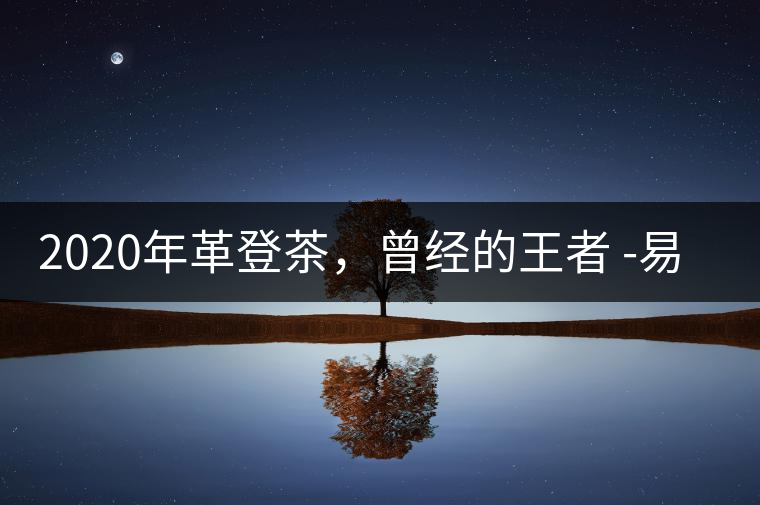 2020年革登茶，曾經(jīng)的王者 -易武中聘號