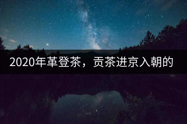 2020年革登茶,貢茶進(jìn)京入朝的首選 -易武中聘號(hào) 2020年革登茶,貢茶進(jìn)京入朝的首選 -易武中聘號(hào)