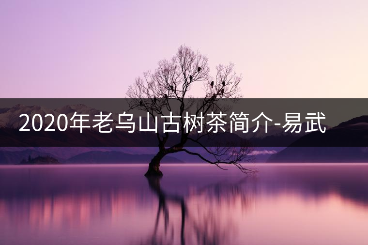 2020年老烏山古樹茶簡(jiǎn)介-易武中聘號(hào) 2020年老烏山古樹茶簡(jiǎn)介-易武中聘號(hào)