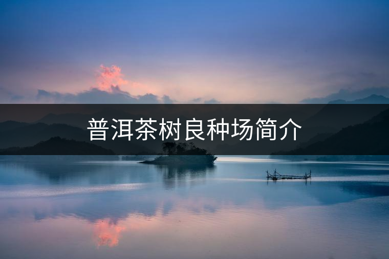普洱茶樹良種場(chǎng)簡介
