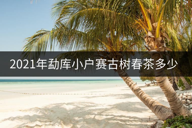 2021年勐庫小戶賽古樹春茶多少錢一公斤？