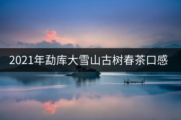 2021年勐庫大雪山古樹春茶口感特點(diǎn)? 2021年勐庫大雪山古樹春茶口感特點(diǎn)?