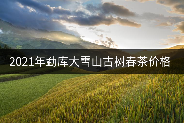 2021年勐庫大雪山古樹春茶價(jià)格? 2021年勐庫大雪山古樹春茶價(jià)格?