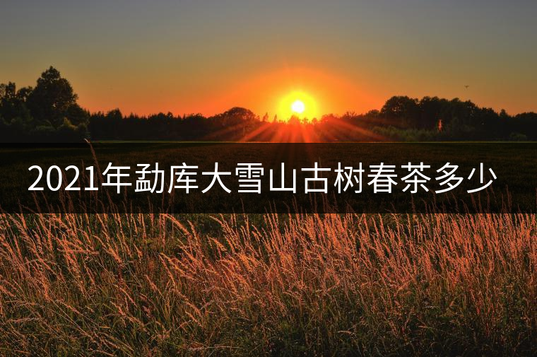 2021年勐庫大雪山古樹春茶多少錢一公斤？