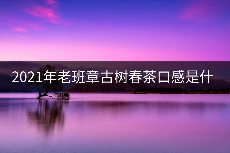 2021年老班章古樹春茶口感是什么？