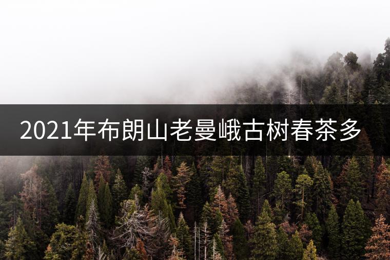 2021年布朗山老曼峨古樹春茶多少錢一公斤？