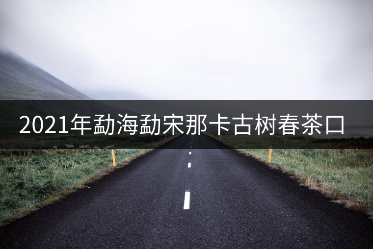 2021年勐海勐宋那卡古樹(shù)春茶口感？