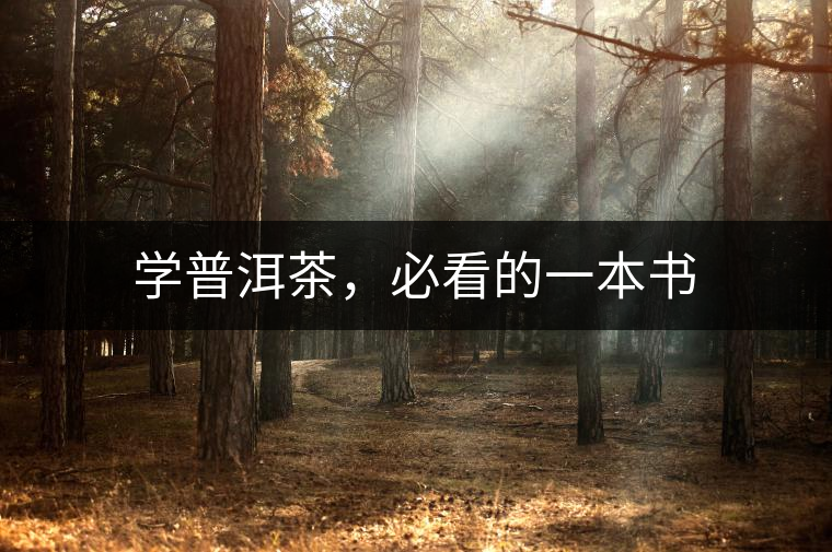 學(xué)普洱茶，必看的一本書