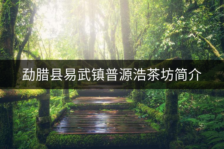 勐臘縣易武鎮(zhèn)普源浩茶坊簡(jiǎn)介 勐臘縣易武鎮(zhèn)普源浩茶坊簡(jiǎn)介