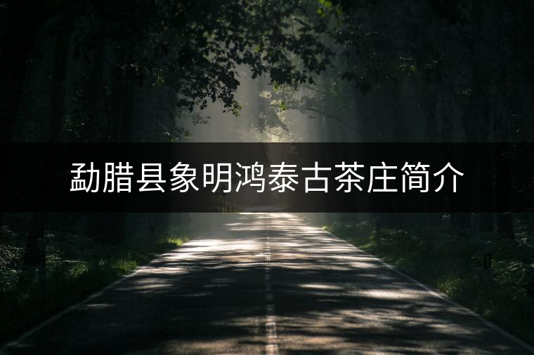 勐臘縣象明鴻泰古茶莊簡介 勐臘縣象明鴻泰古茶莊簡介