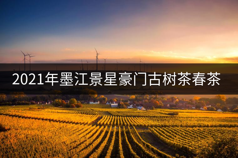 2021年墨江景星豪門古樹茶春茶價格多少錢一斤？