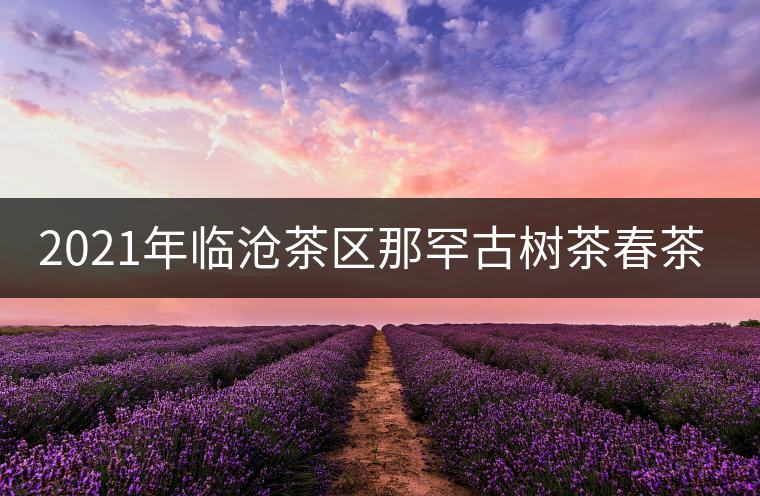 2021年臨滄茶區(qū)那罕古樹茶春茶多少錢一公斤？