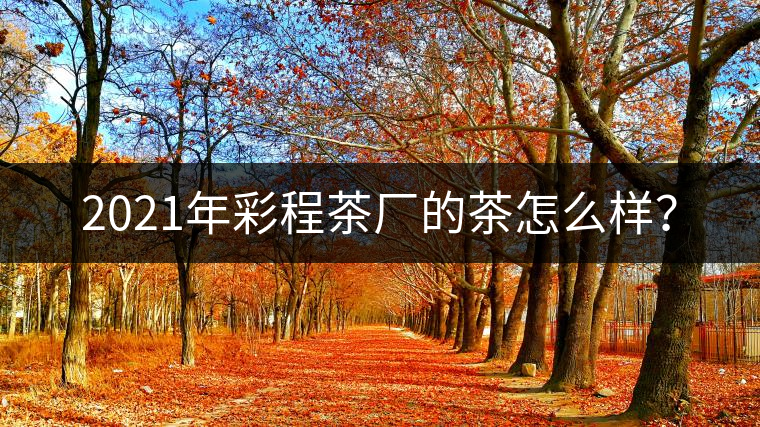 2021年彩程茶廠的茶怎么樣？