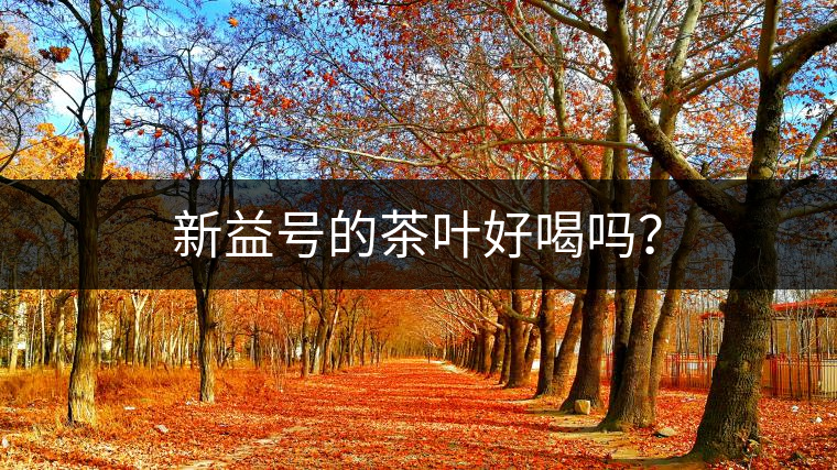 新益號(hào)的茶葉好喝嗎? 新益號(hào)的茶葉好喝嗎?