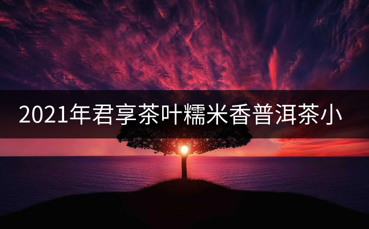 2021年君享茶葉糯米香普洱茶小沱茶餅口感好嗎？