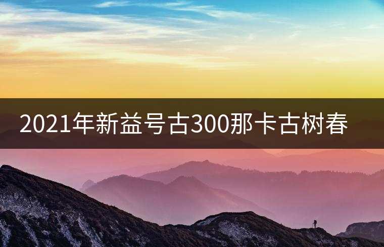 2021年新益號(hào)古300那卡古樹春茶口感怎么樣？