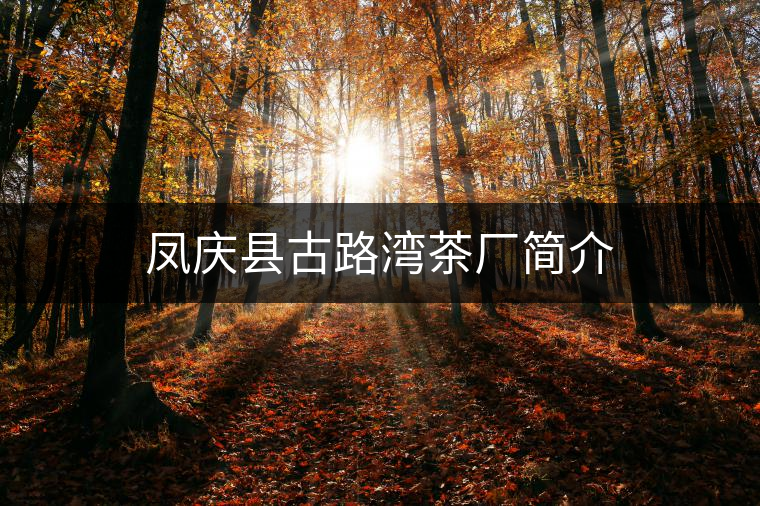 鳳慶縣古路灣茶廠簡(jiǎn)介 鳳慶縣古路灣茶廠簡(jiǎn)介