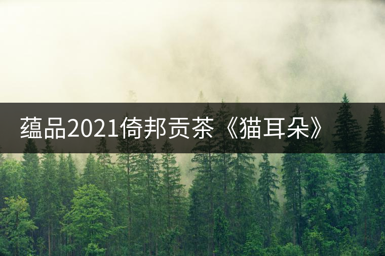 蘊(yùn)品2021倚邦貢茶《貓耳朵》古樹普洱茶生茶好喝嗎？