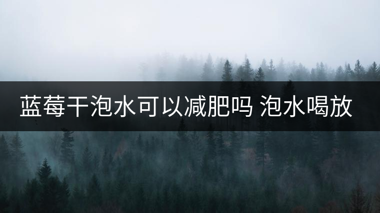 藍莓干泡水可以減肥嗎 泡水喝放幾粒