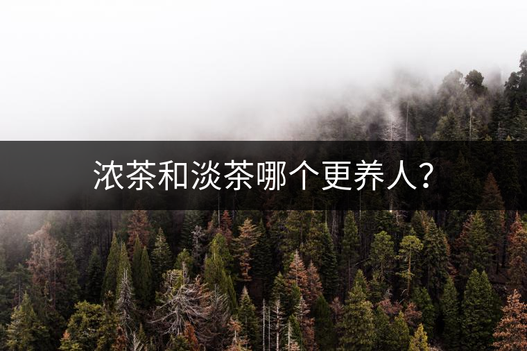 濃茶和淡茶哪個更養(yǎng)人？