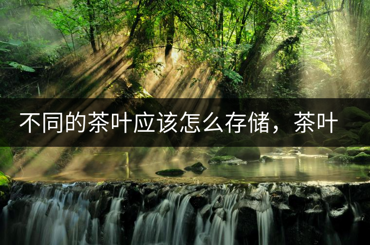 不同的茶葉應(yīng)該怎么存儲，茶葉罐又該如何選擇？