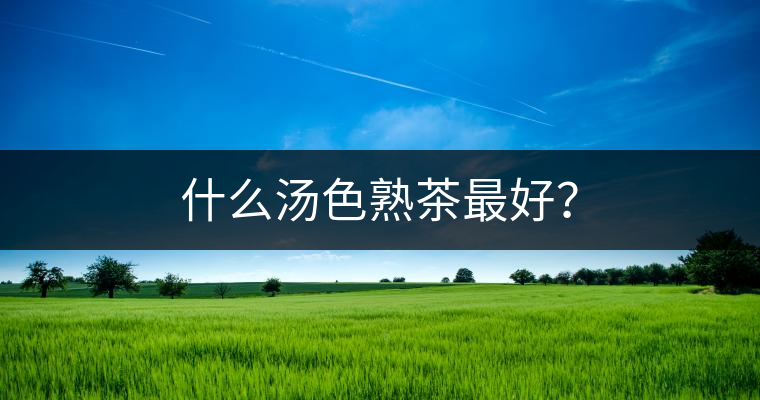 什么湯色熟茶最好？