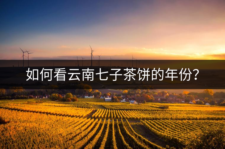 如何看云南七子茶餅的年份？