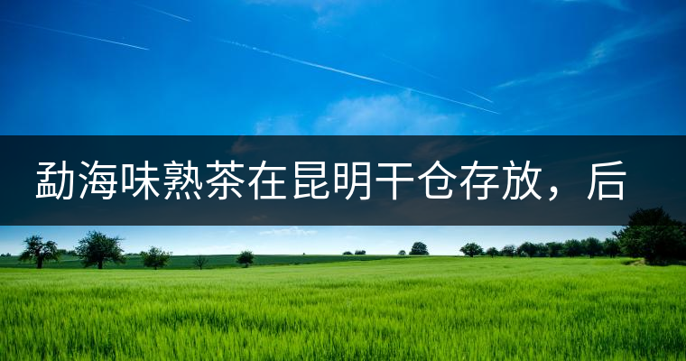 勐海味熟茶在昆明干倉(cāng)存放，后期轉(zhuǎn)化如何呢？