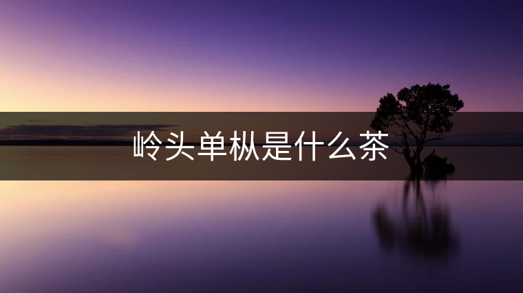嶺頭單樅是什么茶