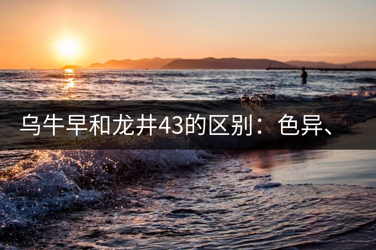 烏牛早和龍井43的區(qū)別：色異、香異、形異