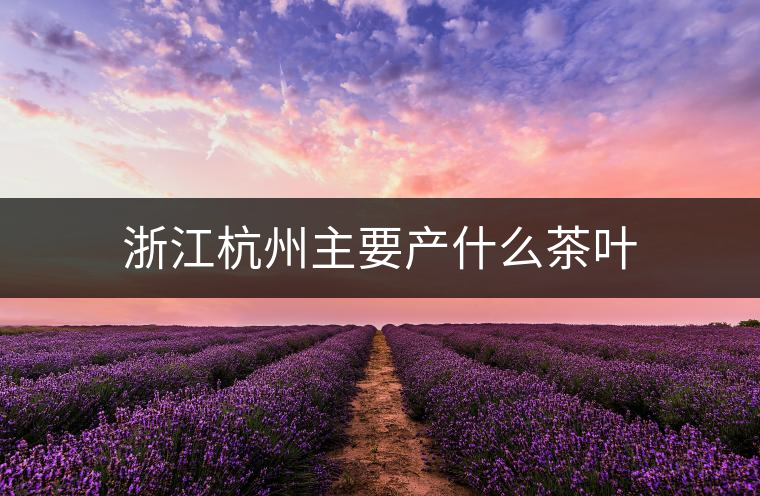 浙江杭州主要產(chǎn)什么茶葉