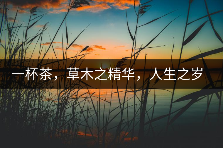 一杯茶，草木之精華，人生之歲月